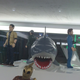 Image for article titled The Very Best Toys From New York Toy Fair 2015